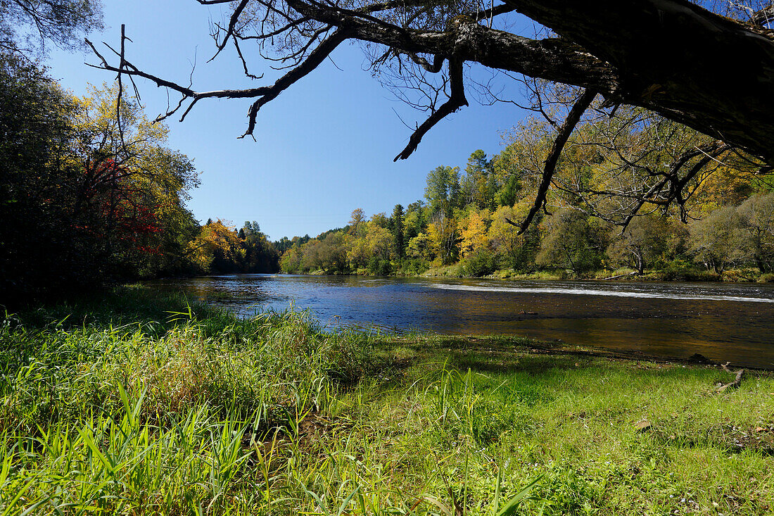 Indian summer, autumn colors at the Riviere du Nord, Laurentians, Province Quebec, Canada