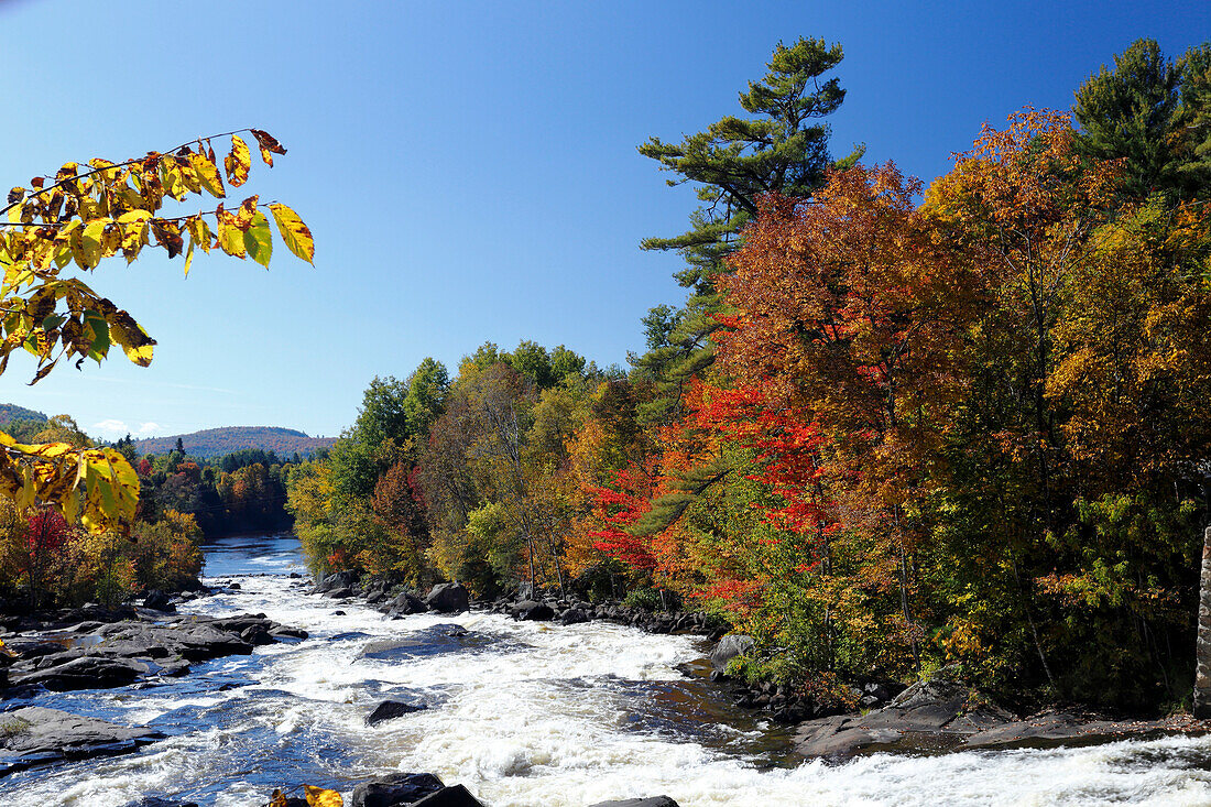 Indian summer, autumn colors at the Riviere du Nord, Laurentians, Province Quebec, Canada