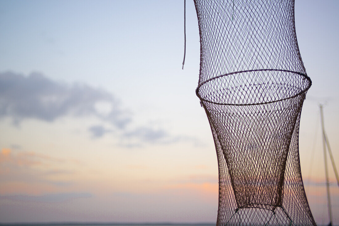 Fischreuse in der Abendstimmung im Dierhagener Hafen im Nationalpark Vorpommersche Boddenlandschaft, Dierhagen, Fischland-Darß-Zingst, Mecklenburg Vorpommern, Deutschland