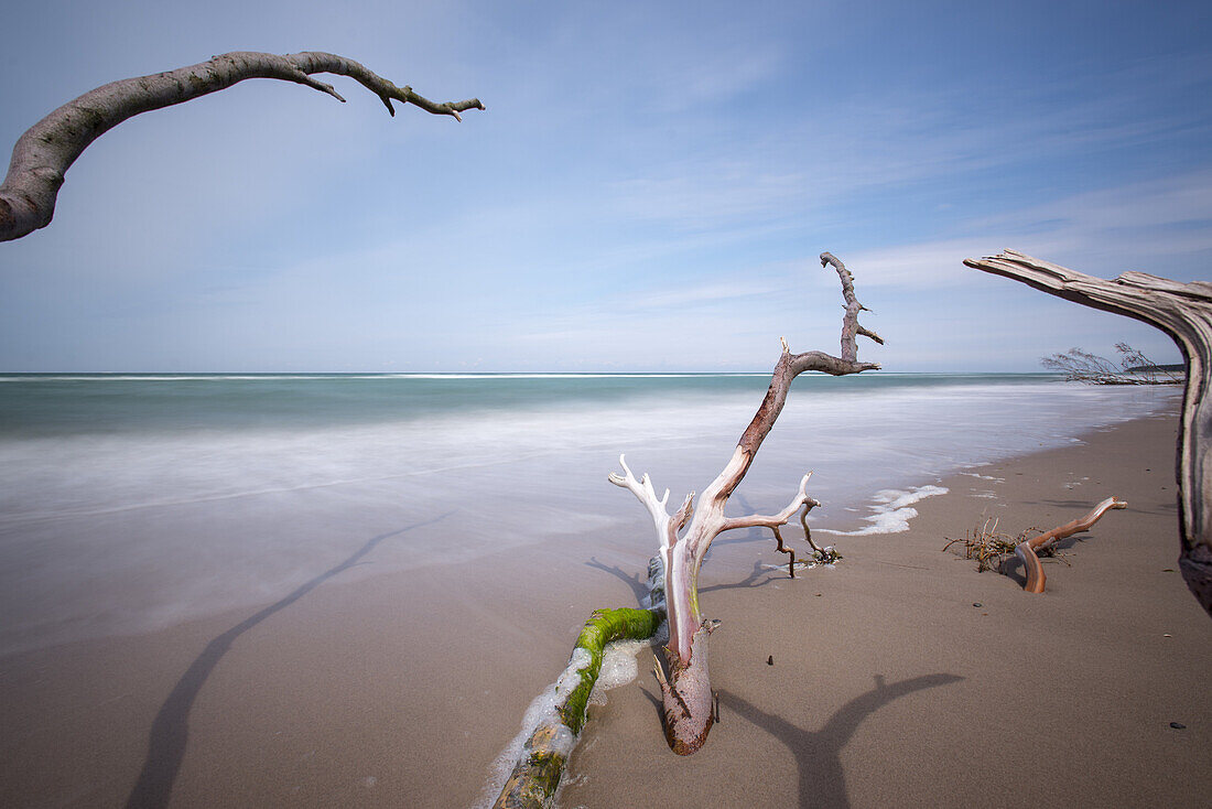 Branches on the beach in the Western Pomerania Lagoon Area National Park, West beach, Fischland-Darss-Zingst, Mecklenburg-Western Pomerania, Germany