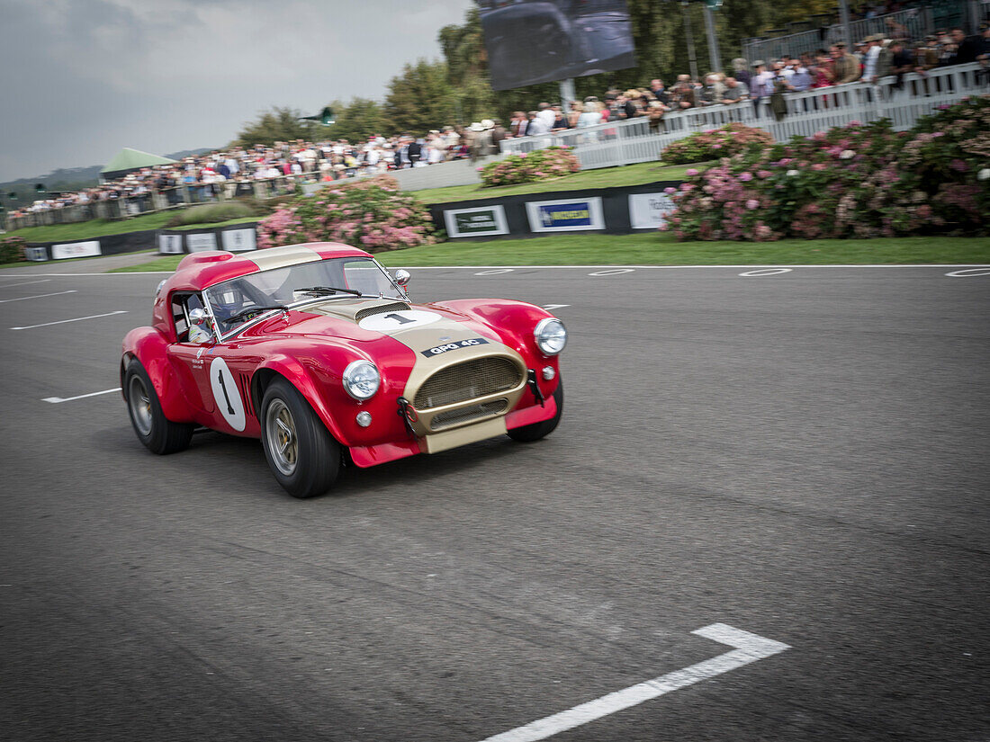 1964 AC Cobra, Goodwood Revival 2014, Racing Sport, Classic Car, Goodwood, Chichester, Sussex, England, Great Britain