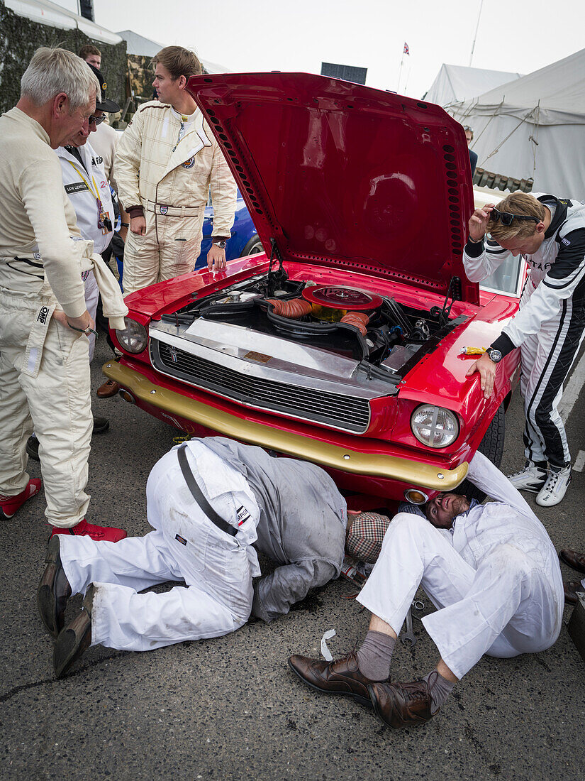 Mechanics working on a Ford Mustang, Goodwood Revival 2014, Racing Sport, Classic Car, Goodwood, Chichester, Sussex, England, Great Britain