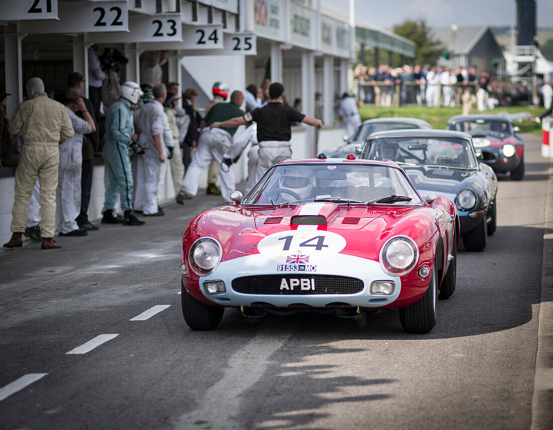 1963 Ferrari 250 GTO/64 kommt zum Fahrerwechsel an die Box, RAC TT Celebration, Goodwood Revival 2014, Rennsport, Autorennen, Classic Car, Goodwood, Chichester, Sussex, England, Großbritannien