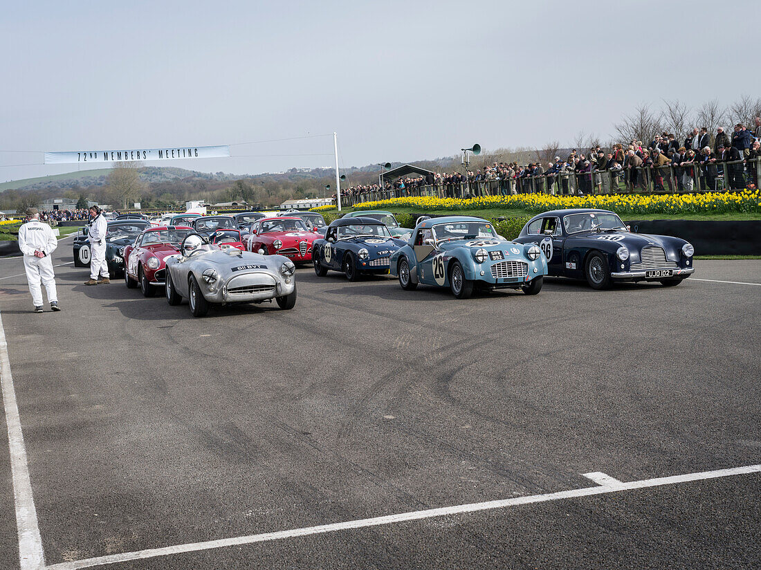 1950s Production Sports and GT cars, Tony Gaze Trophy, 72nd Members Meeting, racing, car racing, classic car, Chichester, Sussex, United Kingdom, Great Britain