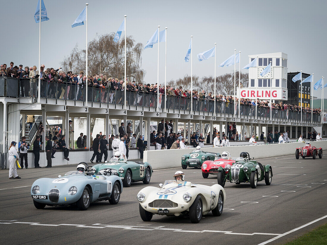 1952 Jaguar C-Type (L) and 1955 Aston Martin DB3S, Peter Collins Trophy, 72nd Members Meeting, racing, car racing, classic car, Chichester, Sussex, United Kingdom, Great Britain