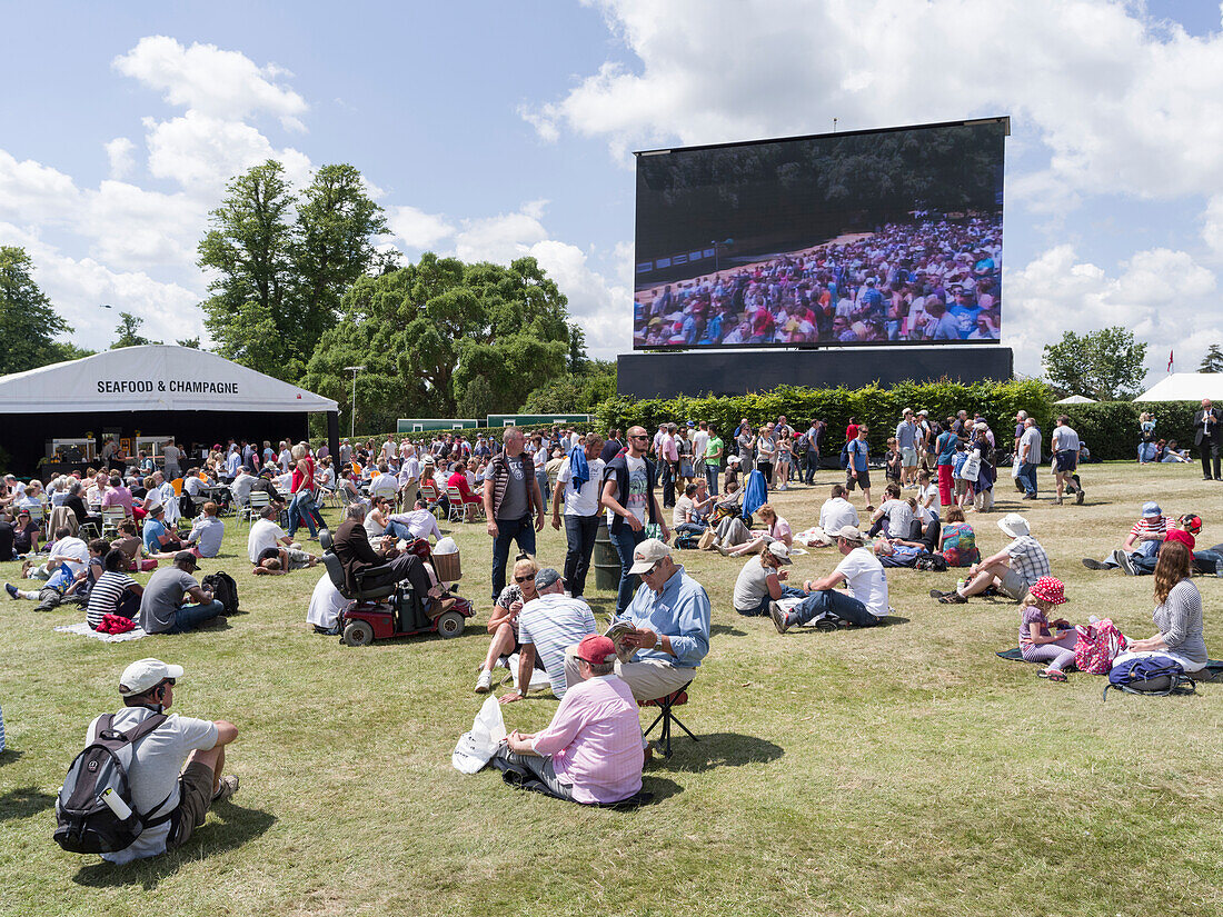 Spectators, Goodwood Festival of Speed 2014, racing, car racing, classic car, Chichester, Sussex, United Kingdom, Great Britain