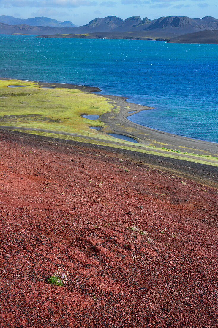 Red soil at crater Lake Litlisjor, Veidivötn, Highlands, Southern Island, Iceland, Europe