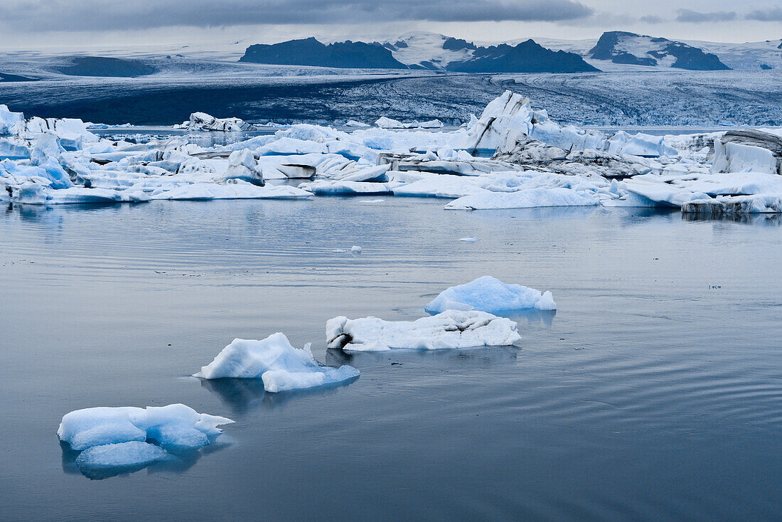 Blaue Eisberge und Treibeis aus der Gletscherzunge Breidamerkurjökull, Lagune des Sees Jökulsarlon am Vatnajökull auf dem Breidamerkursandur zwischen dem Skaftafell Nationalpark und Höfn, Ostisland, Island, Europa