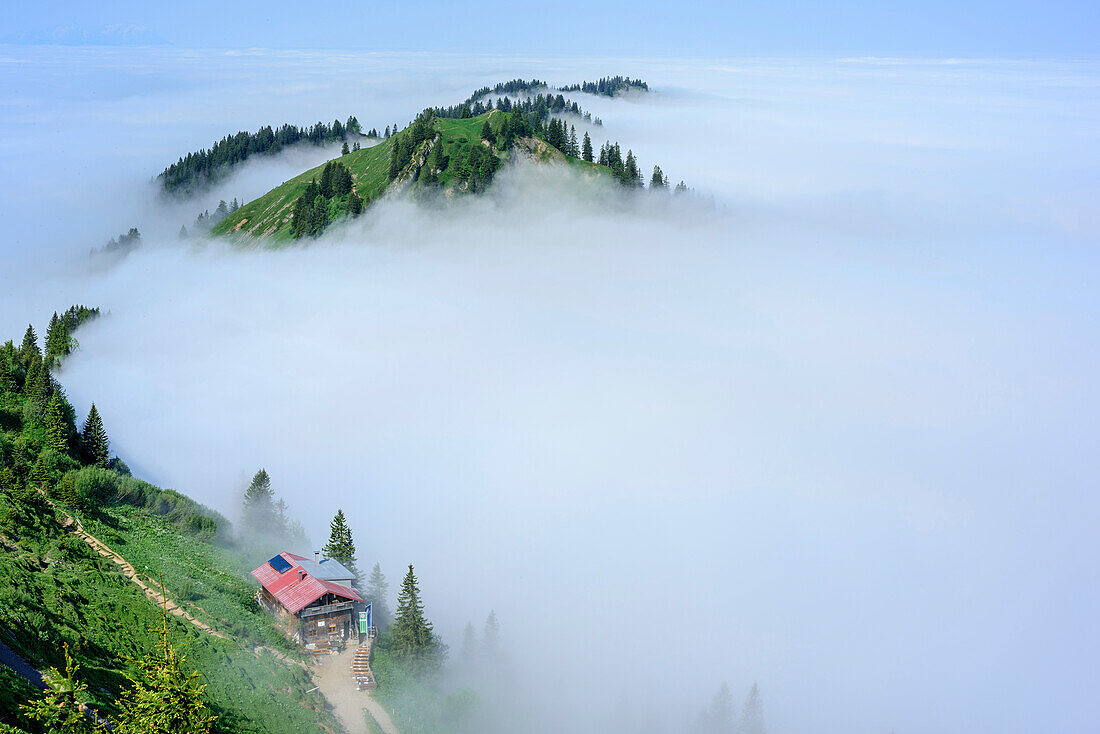 Hut Staufner Haus surrounded with fog, Hut Staufner Haus, Hochgrat, Nagelfluh range, Allgaeu Alps, Allgaeu, Svabia, Bavaria, Germany