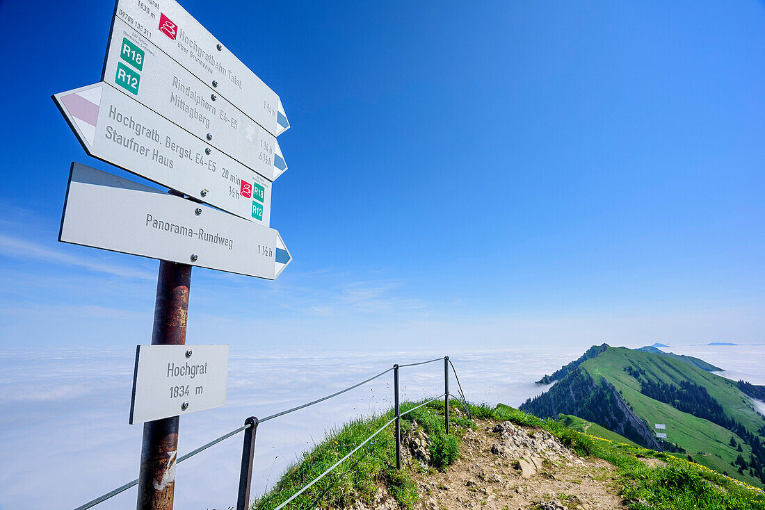 Signpost at summit of Hochgrat, Hochgrat, Nagelfluh range, Allgaeu Alps, Allgaeu, Svabia, Bavaria, Germany