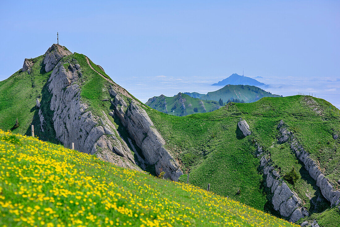 View to Nagelfluh range with Rindalphorn, Rindalphorn, Nagelfluh range, Allgaeu Alps, Allgaeu, Svabia, Bavaria, Germany