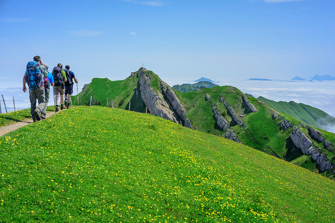 Mehrere Personen beim Wandern steigen zum Rindalphorn auf, Rindalphorn, Nagelfluhkette, Allgäuer Alpen, Allgäu, Schwaben, Bayern, Deutschland