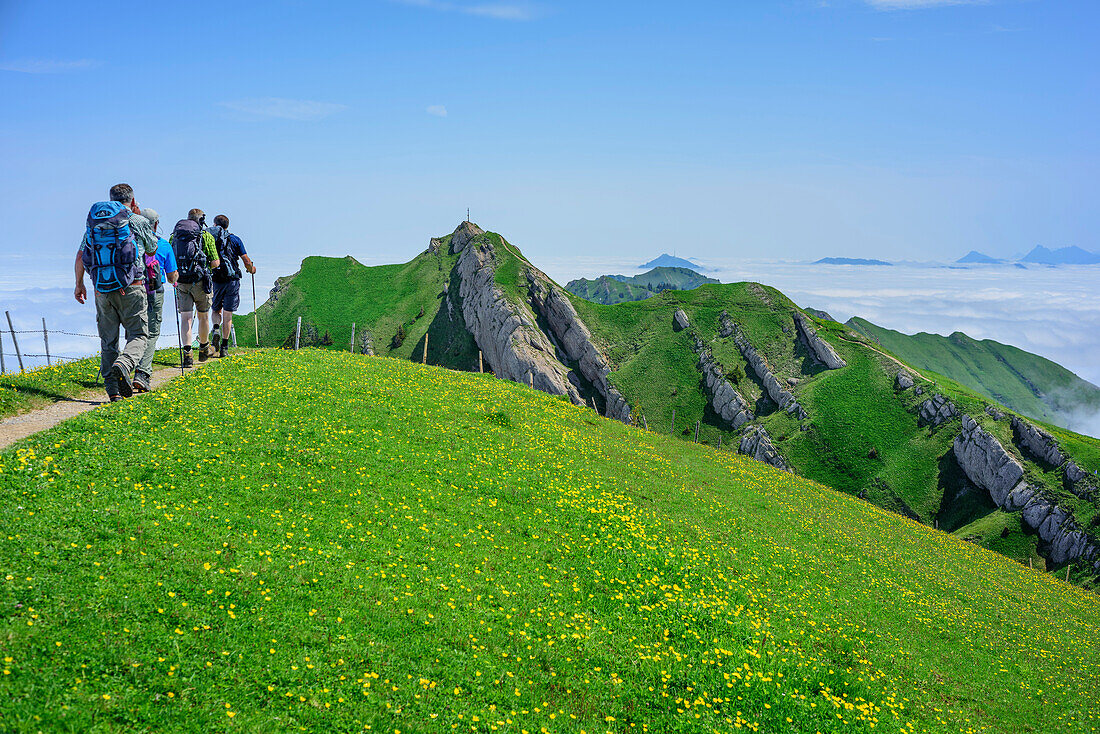 Several persons hiking ascending to Rindalphorn, Rindalphorn, Nagelfluh range, Allgaeu Alps, Allgaeu, Svabia, Bavaria, Germany
