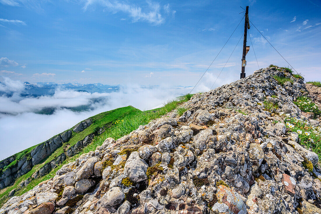 Molasse conglomerate at summit of Rindalphorn, Rindalphorn, Nagelfluh range, Allgaeu Alps, Allgaeu, Svabia, Bavaria, Germany