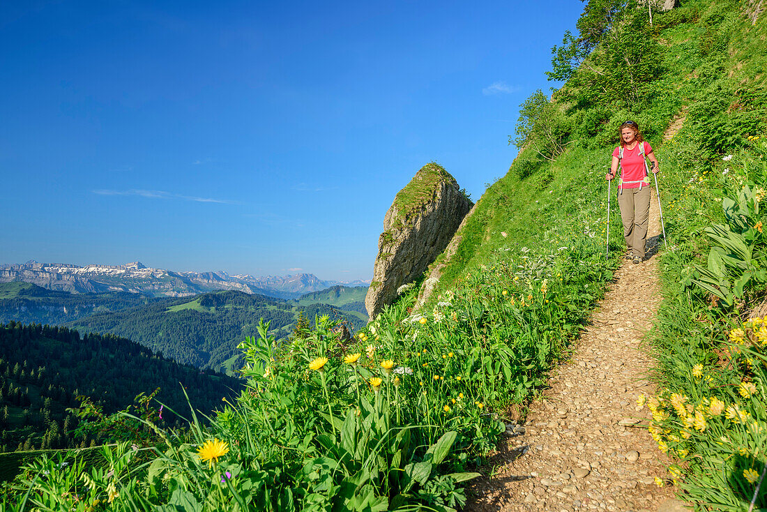 Woman hiking descending from Siplingerkopf, Gottesackerwaende and Hoher Ifen in background, Siplingerkopf, valley of Balderschwang, Allgaeu Alps, Allgaeu, Svabia, Bavaria, Germany