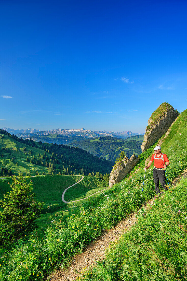 Man hiking descending from Siplingerkopf, Gottesackerwaende and Hoher Ifen in background, Siplingerkopf, valley of Balderschwang, Allgaeu Alps, Allgaeu, Svabia, Bavaria, Germany