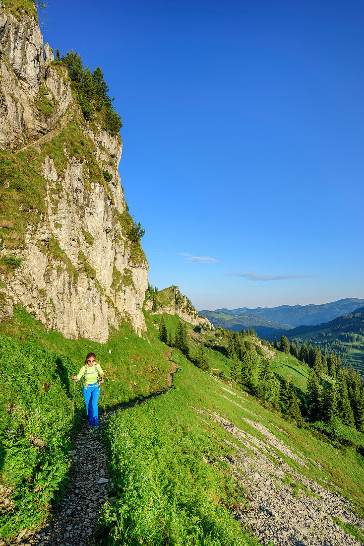 Woman hiking ascending towards Besler, Besler, valley of Balderschwang, Allgaeu Alps, Allgaeu, Svabia, Bavaria, Germany