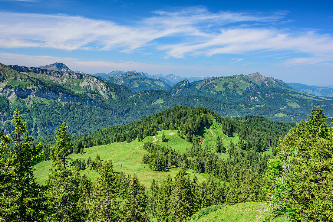 View to Bregenzerwald Mountains with Diedamskopf and Winterstaud, from Piesenkopf, valley of Balderschwang, Allgaeu Alps, Allgaeu, Svabia, Bavaria, Germany