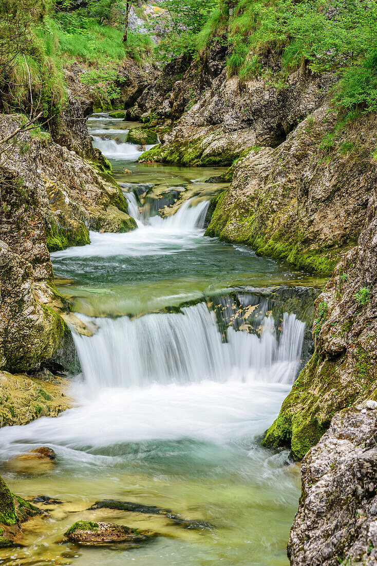 Water flowing through canyon, Weissbachklamm, Chiemgau Alps, Chiemgau, Upper Bavaria, Bavaria, Germany