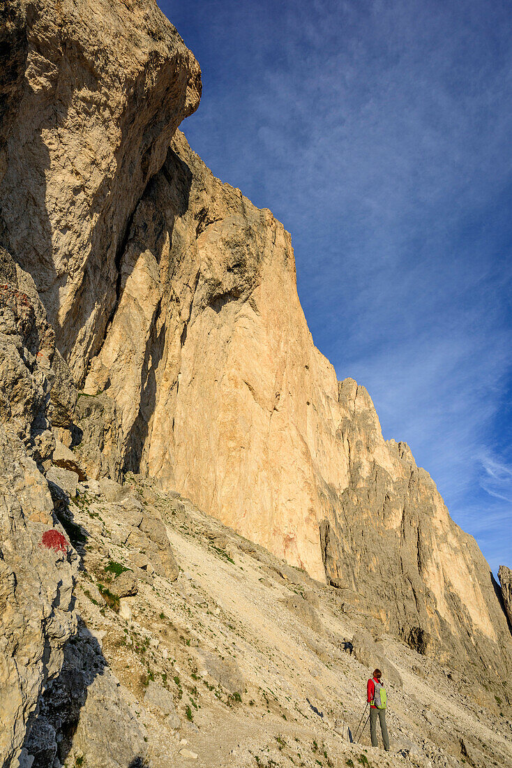 Woman hiking looking up towards rock face, Rotwand, Rosengarten, UNESCO world heritage Dolomites, Dolomites, Trentino, Italy