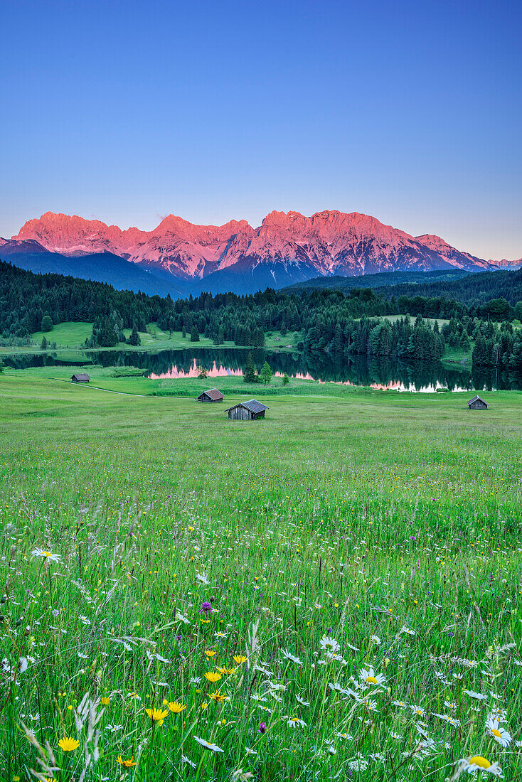 Blumenwiese mit Heustadel, Bergsee und Karwendelkette im Alpenglühen im Hintergrund, Geroldsee, Werdenfels, Garmisch-Partenkirchen, Bayerische Alpen, Oberbayern, Bayern, Deutschland