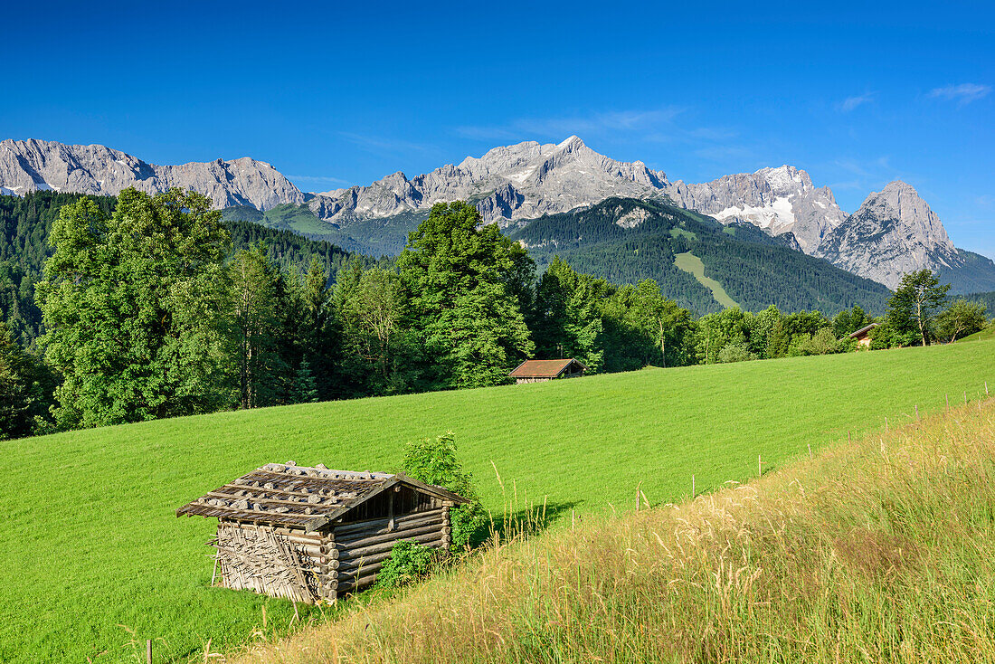 Wiese mit Heustadel, Wetterstein mit Alpspitze, Zugspitze und Waxensteine im Hintergrund, Werdenfels, Garmisch-Partenkirchen, Wetterstein, Oberbayern, Bayern, Deutschland