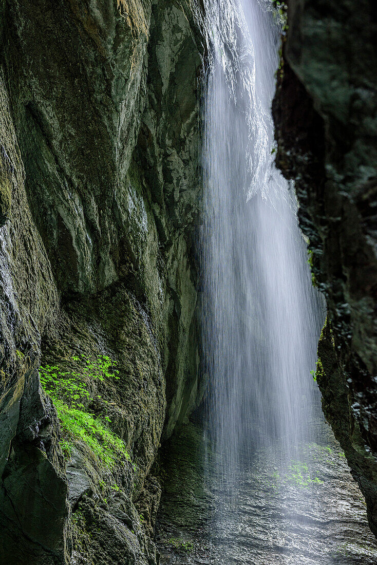 Wasserfall fliesst über Felswand in Klamm, Partnachklamm, Garmisch-Partenkirchen, Wetterstein, Oberbayern, Bayern, Deutschland