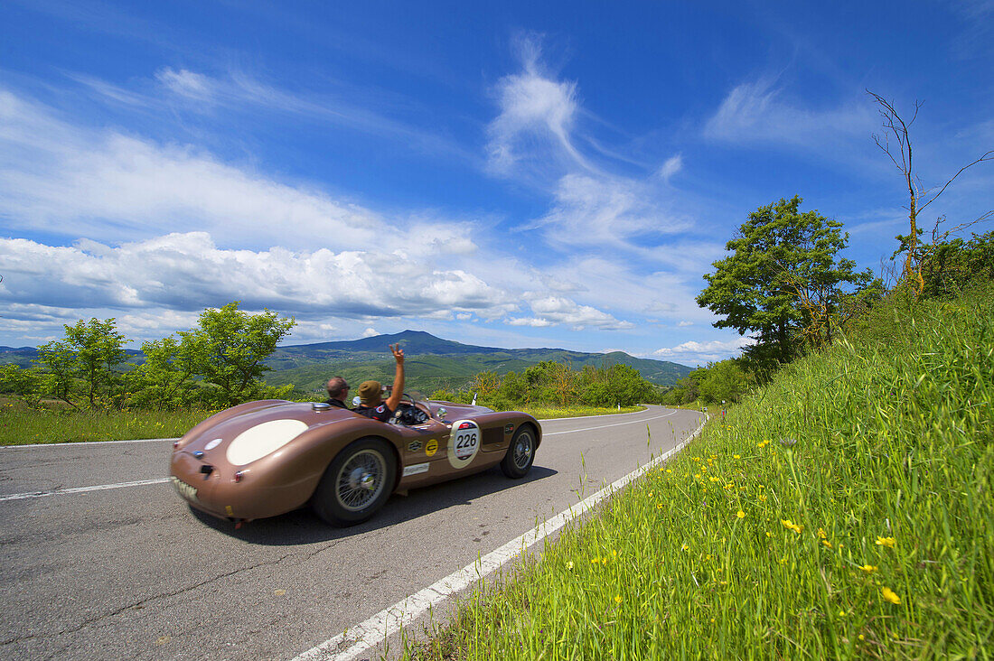 Jaguar C-Type 1952, Oldtimer, auf Straße in Hügellandschaft, Oldtimer, Rennwagen, Autorennen, Mille Miglia, 1000 Miglia, 2014, 1000 Meilen, bei Radicofani, Toskana, Italien