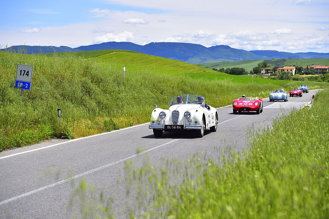 Oldtimer, vorne Jaguar, 1956, auf Straße im Konvoi, Mille Miglia, 1000 Miglia 2014, San Quirico d'Orcia, Siena, Toskana, Italien, Europa