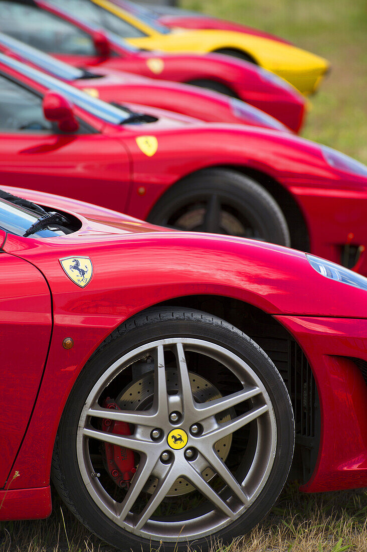Line up of Ferrari racing cars, Rims and emblem, Scuderia Ferrari, Ferrari Tribute Club, Rennwagen, Autorennen, Mille Miglia, 1000 Miglia, 1000 Meilen, Brescia, Lombardy, Italy