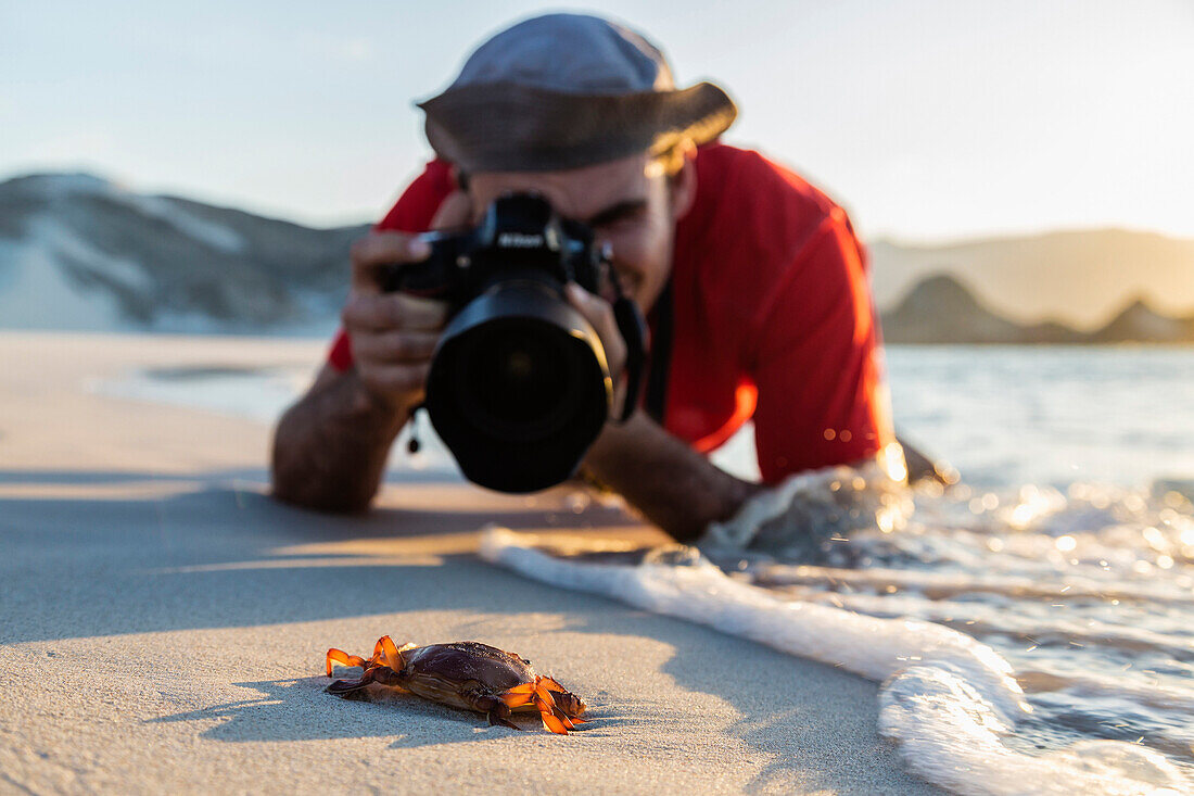 Caucasian photographer taking picture of crab on beach, Qalansyia, Socotra, Yemen