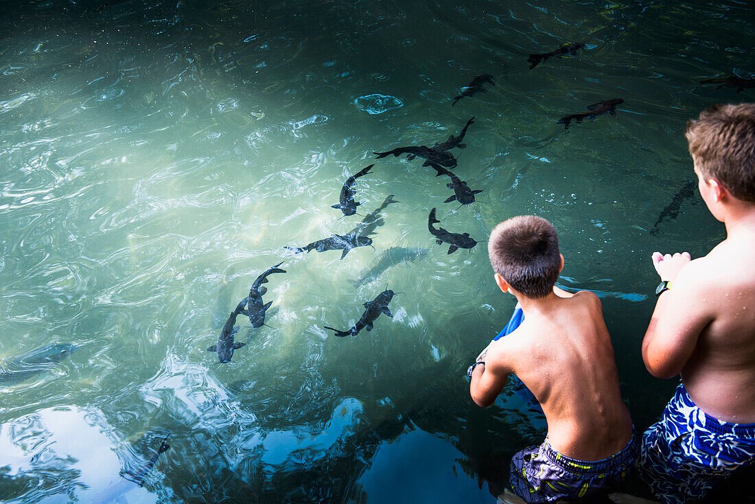 Boys watching sharks swim in ocean, Riviera Nayarit, Nayarit, Mexico