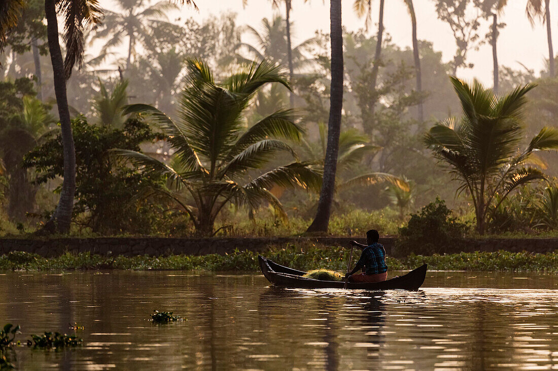 Man canoeing on tropical river, Alleppey, Kerala, India