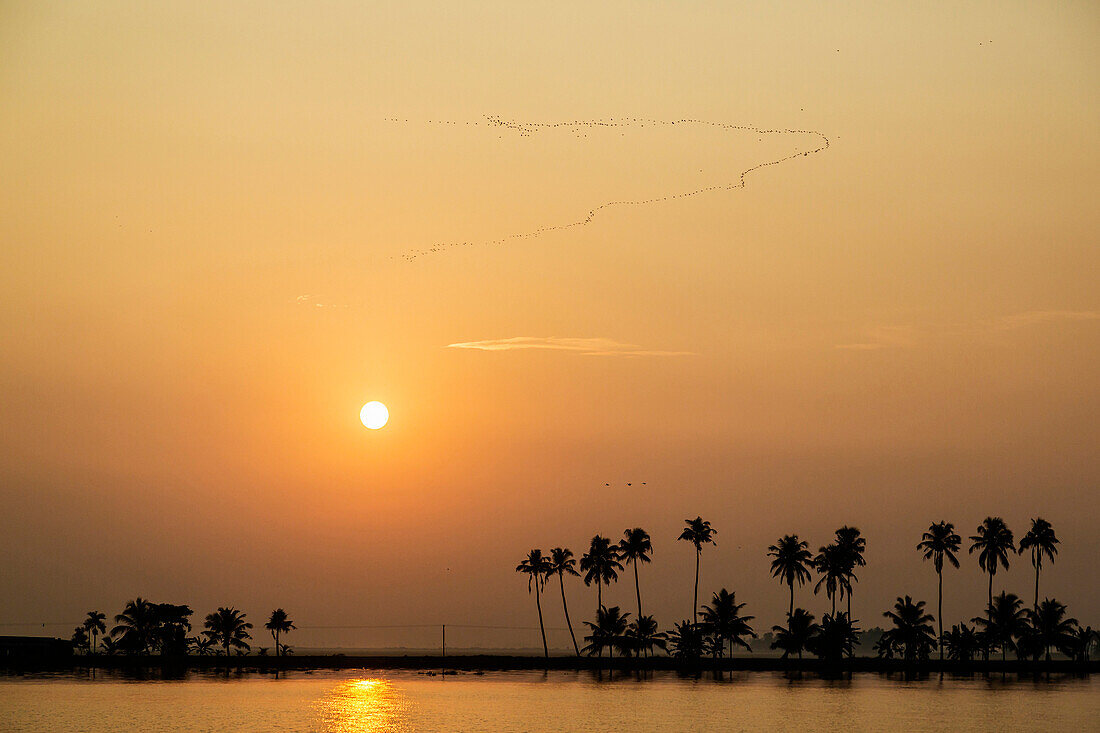Sun setting over tropical ocean, Alleppey, Kerala, India