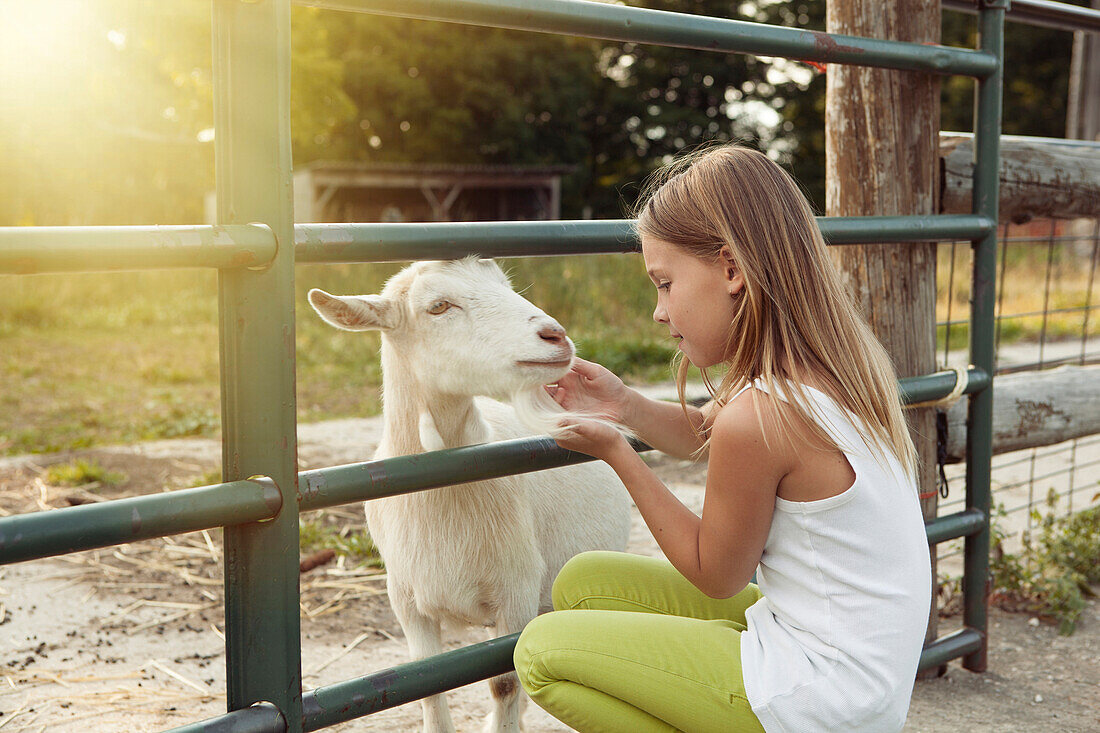 Caucasian girl petting goat at farm, Charlevoix, Michigan, USA