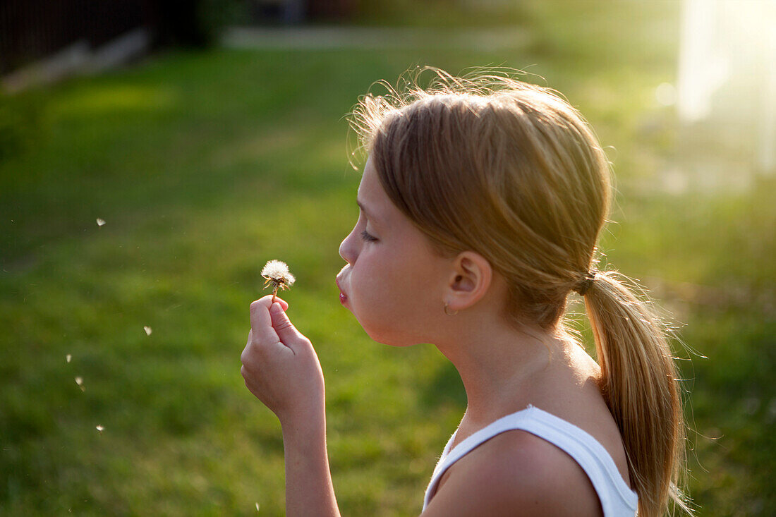 Caucasian girl blowing seeds off dandelion, Charlevoix, Michigan, USA