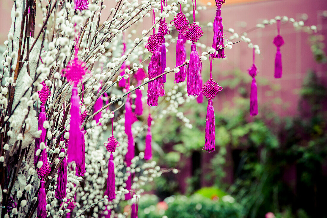 Decorations hanging from plants, Singapore, Republic of Singapore, Republic of Singapore