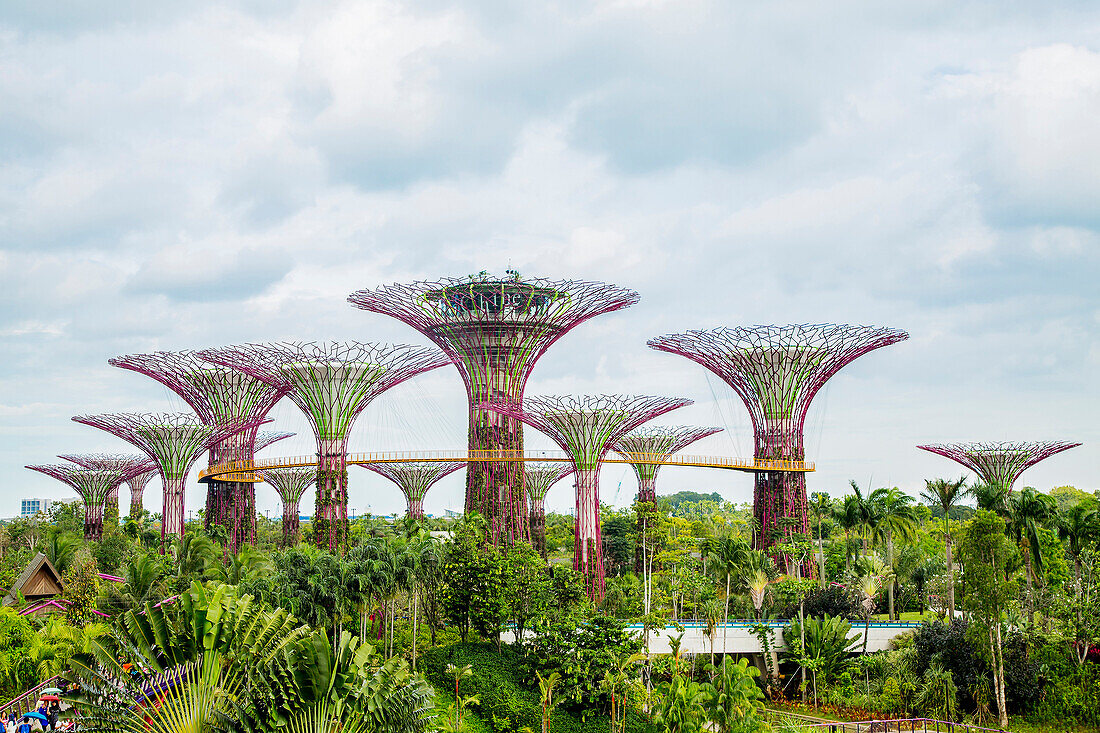 Electric Supertrees, Singapore, Republic of Singapore, Singapore, Republic of Singapore, Republic of Singapore