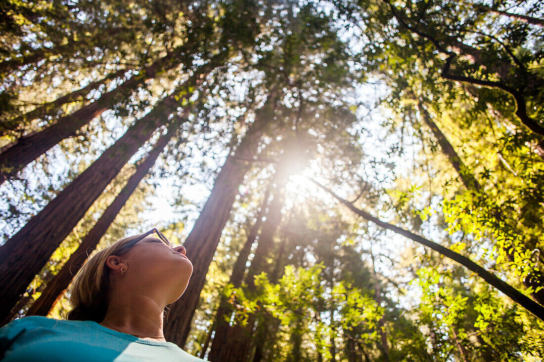 Caucasian woman standing in sunny forest, Muir Woods, California, United States