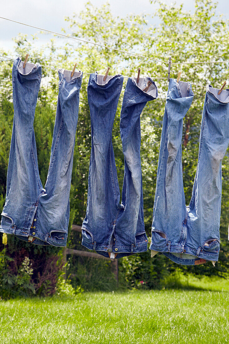 Jeans hanging from clothesline, Roxbury, New York, USA