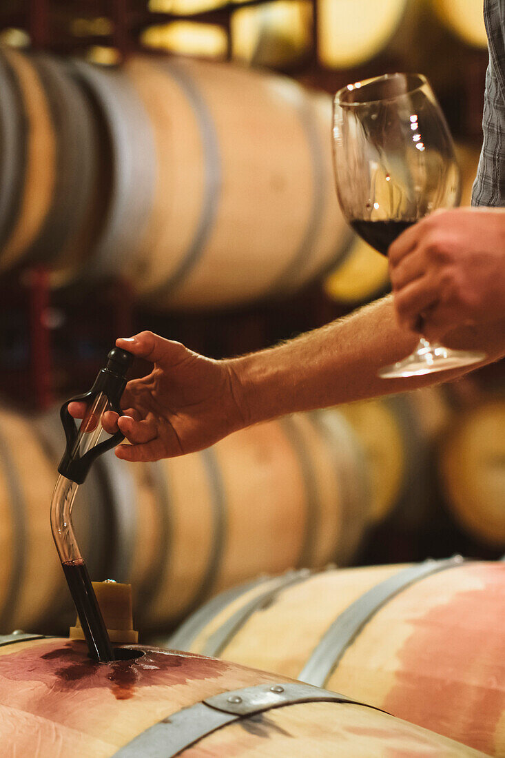 Caucasian man tasting wine, Walla Walla, WA, USA