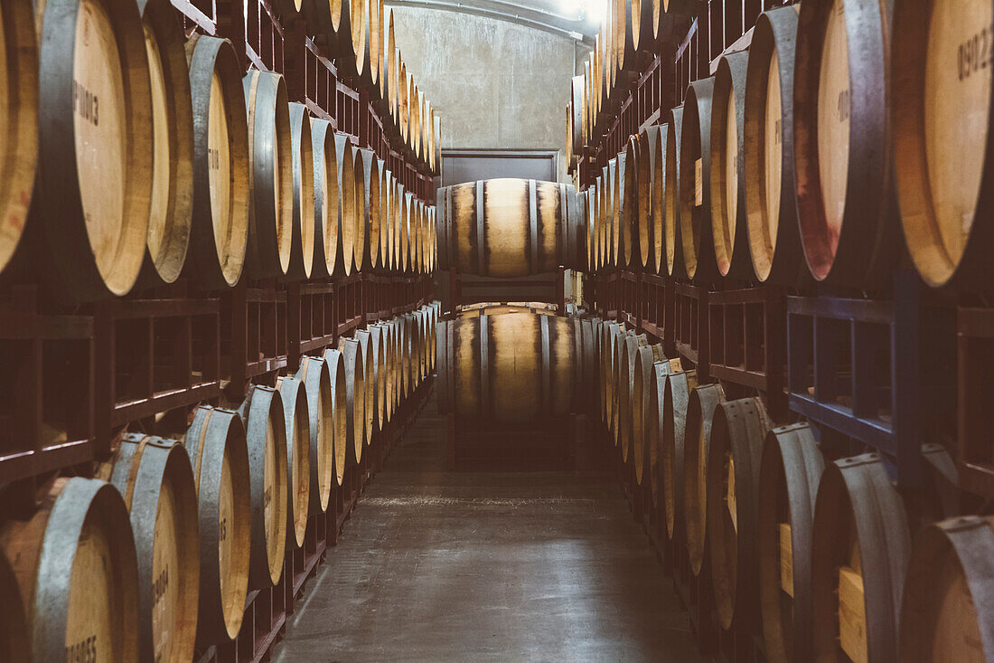 Wine barrels aging, Walla Walla, WA, USA