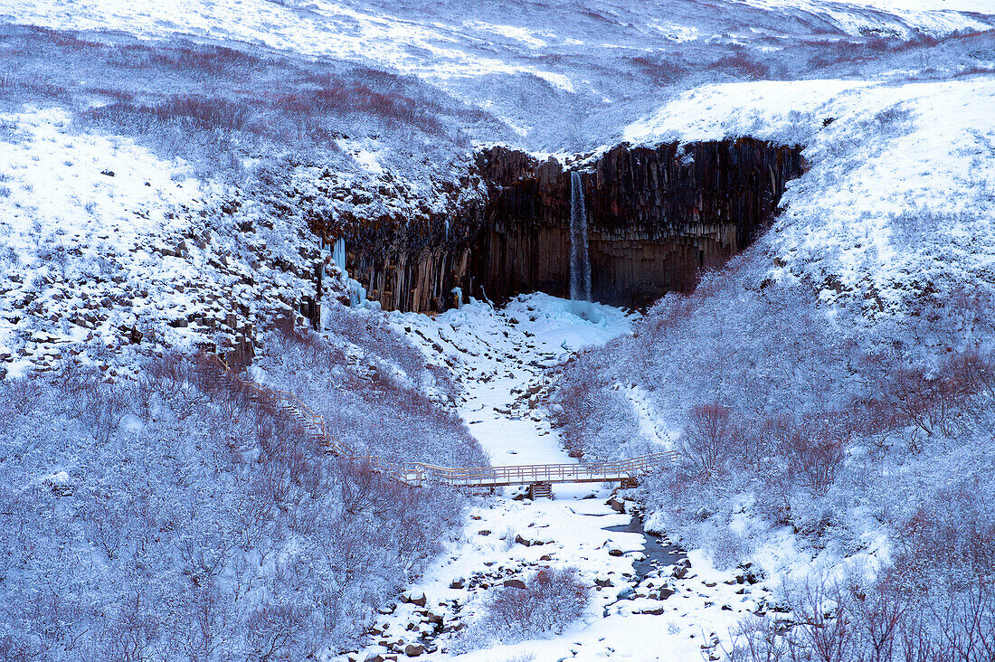 Waterfall and river in snowy landscape, Svartifoss, Sudhurland, Iceland, C1
