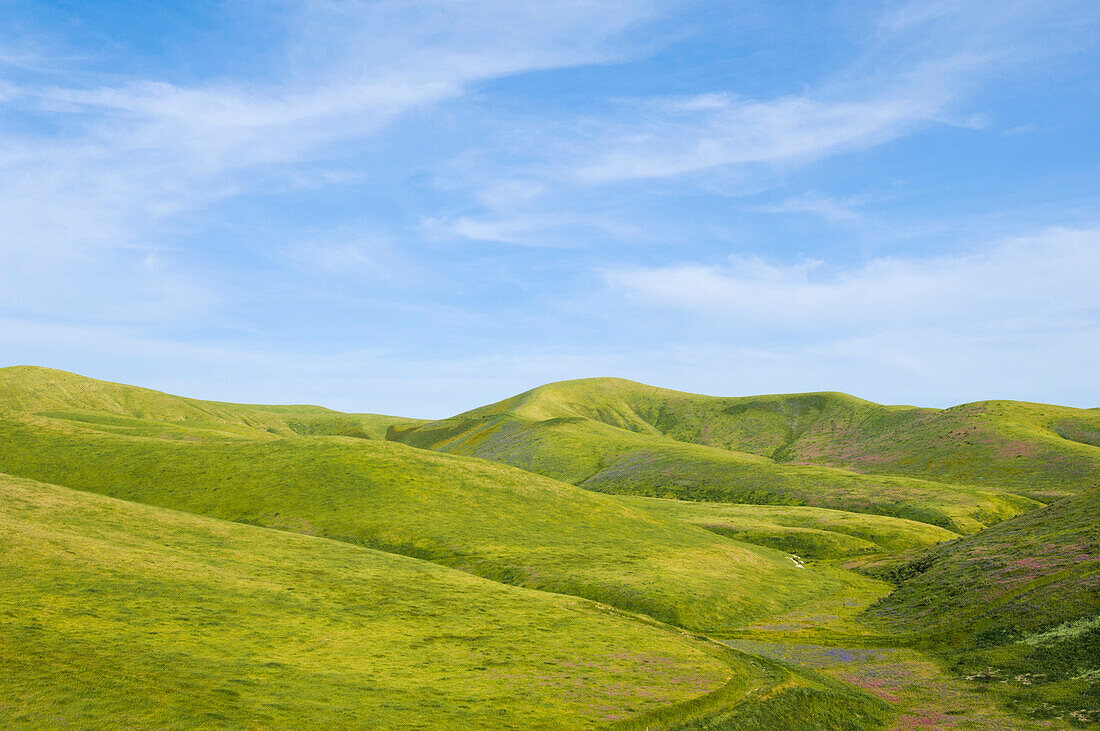 Hills and blue sky in rolling landscape, Keene, California, United States