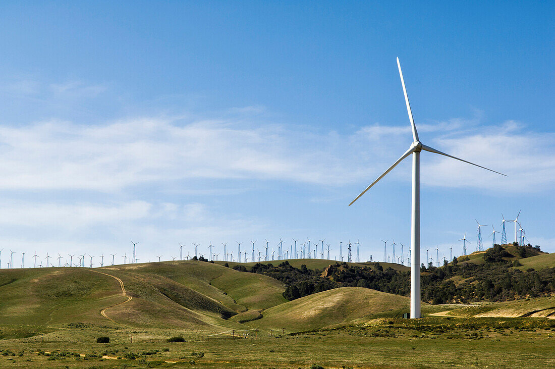 Wind turbines lining hilltop in rolling landscape, Tehachapi, California, United States