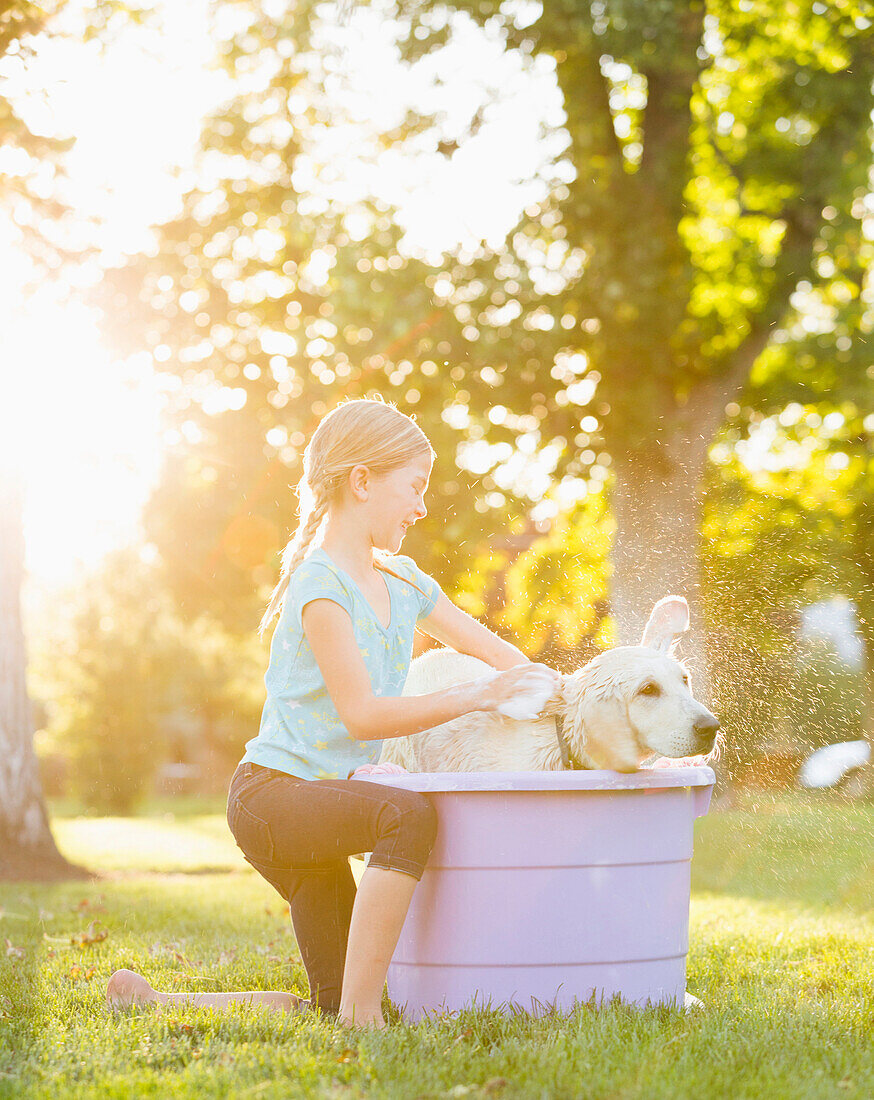 Caucasian girl washing pet dog in backyard, Lehi, Utah, USA