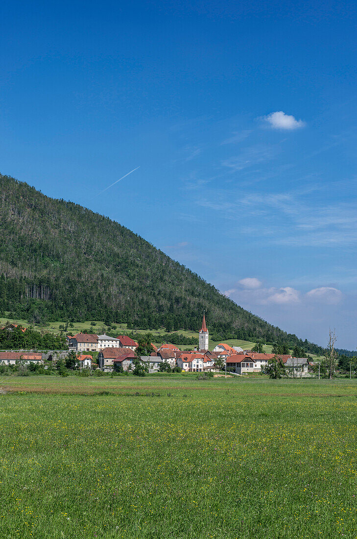 Grass meadow outside rural village, Karst, Carniola, Slovenia, rural, Inner Carniola - Karst, Slovenia