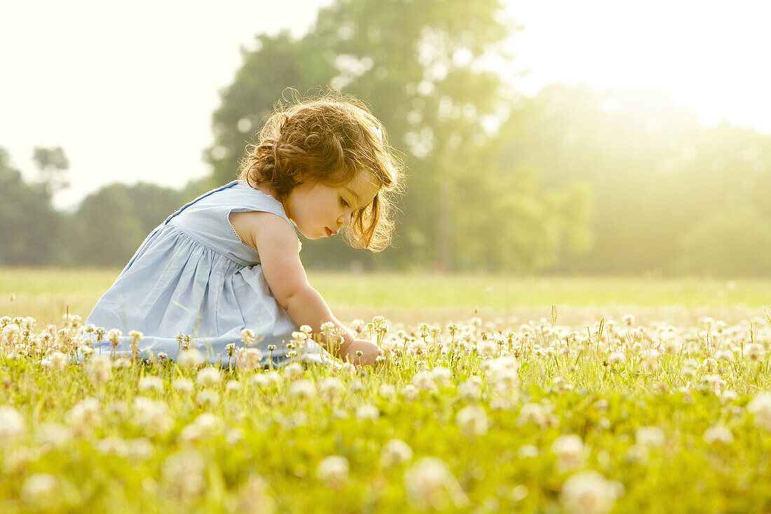 Caucasian girl picking flowers in field, Saint Louis, MO, USA