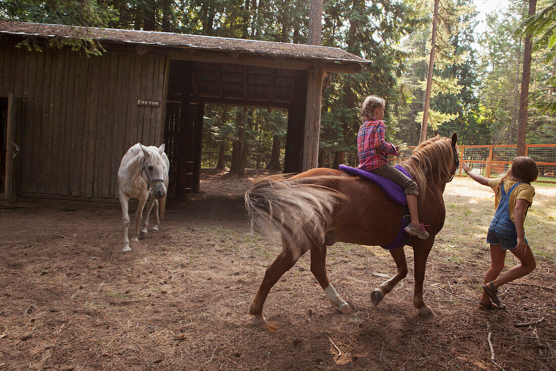 Caucasian children riding horse on farm, Hope, Idaho, USA