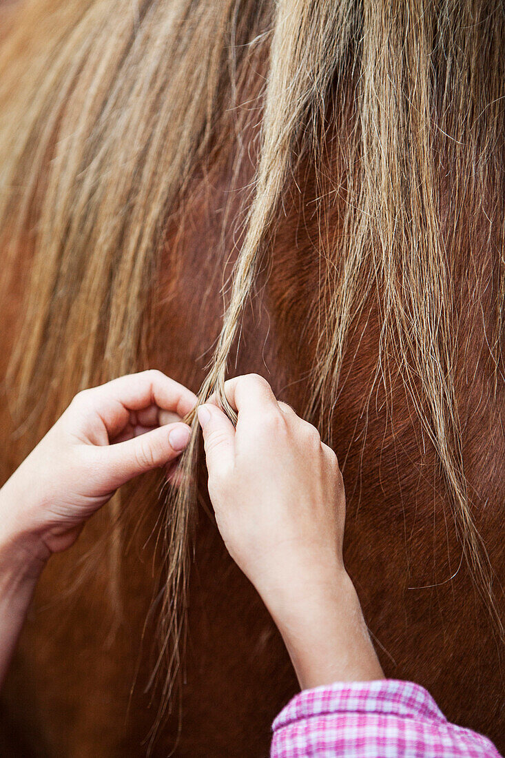 Close up of girl braiding mane of horse, Hope, Idaho, USA